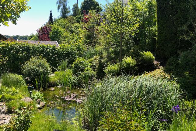 Maison à vendre à Beinwil am See (4)