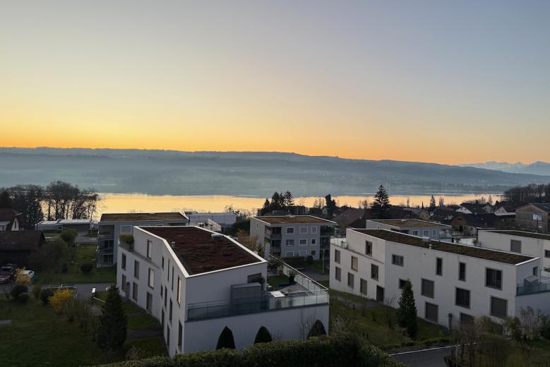 Maison à vendre à Beinwil am See - Smart Propylaia (10)