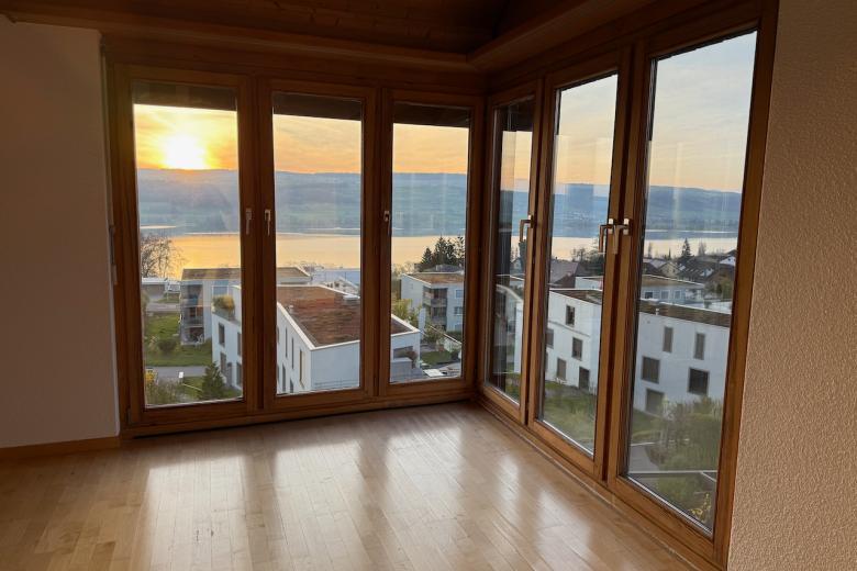 Maison à vendre à Beinwil am See - Smart Propylaia (11)