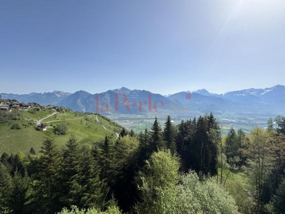 Appartamento in vendita a Torgon