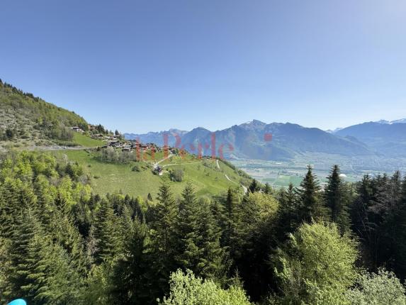 Appartamento in vendita a Torgon (10)