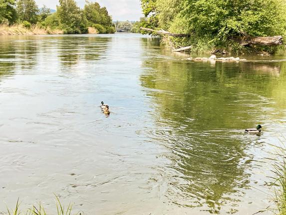 Apartment for sale in Oetwil an der Limmat