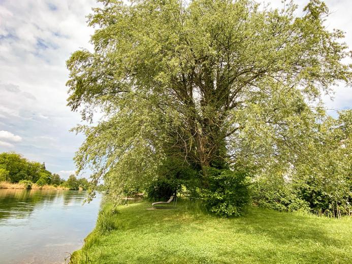 Apartment for sale in Oetwil an der Limmat - Smart Propylaia (2)