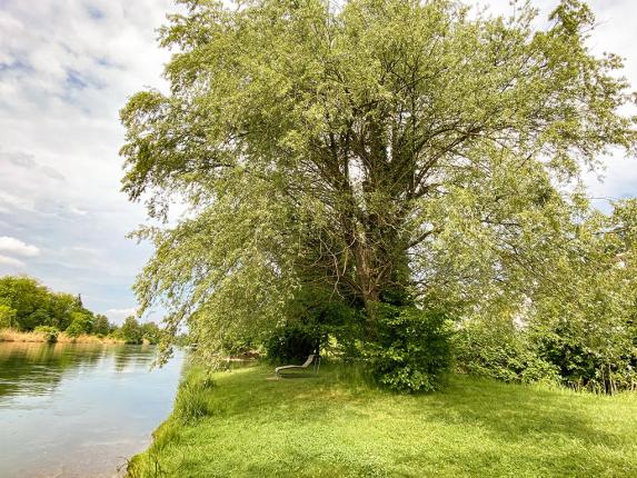 Apartment for sale in Oetwil an der Limmat (2)