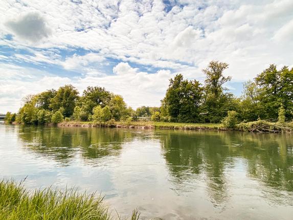 Apartment for sale in Oetwil an der Limmat (3)