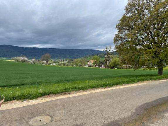 Haus zu vermieten in Delémont (2)