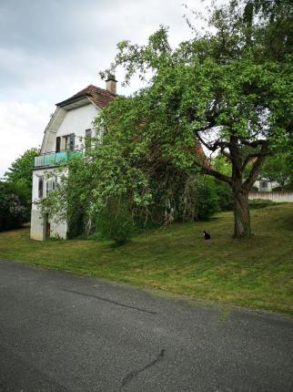Plot for sale in Bassecourt (9)