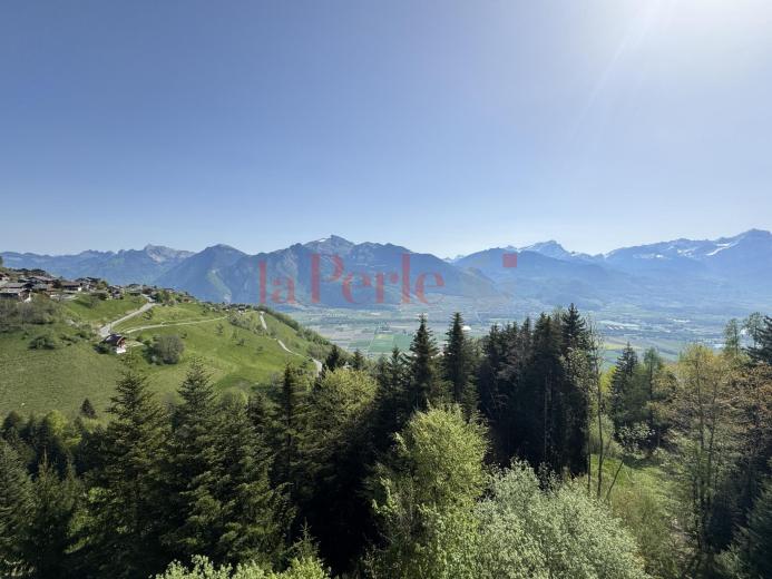 Appartement à vendre à Torgon - Smart Propylaia