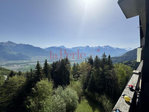 Appartement à vendre à Torgon (9)