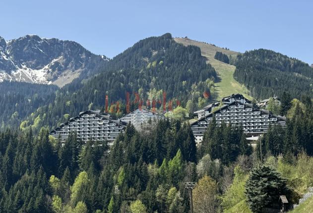 Appartement à vendre à Torgon (11)