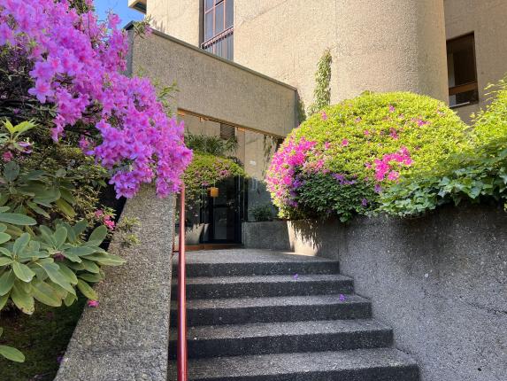 Appartement à vendre à Paradiso (3)