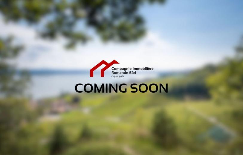 For sale Salavaux Single house Switzerland - partnership with the real estate portal Smart-Propylaia
