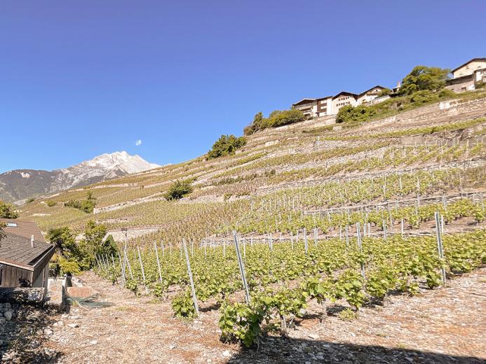 Appartamento in vendita a Conthey - CONTHEY - APPARTAMENTO IDEALE PER INVESTITORI - 4,5 LOCALI - Smart Propylaia (3)