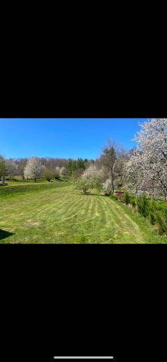 House for sale in PFETTERHOUSE - Smart Propylaia (2)