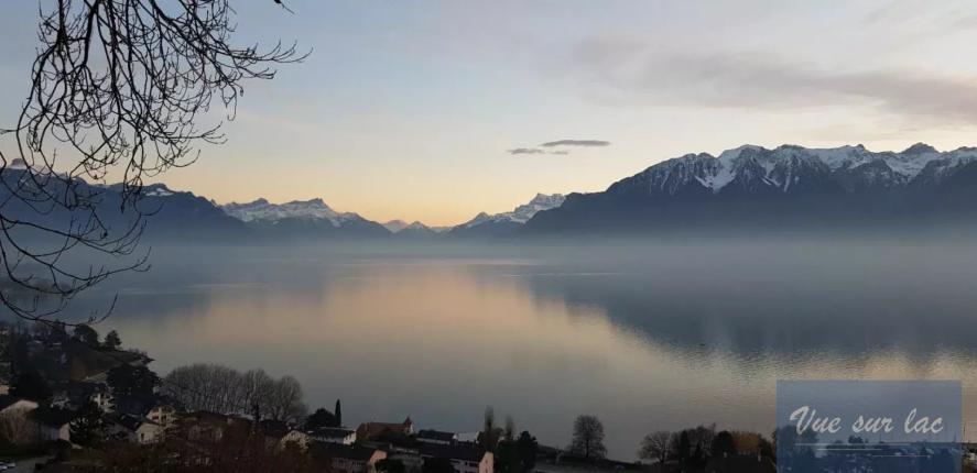 Appartement à vendre à Corseaux (13)