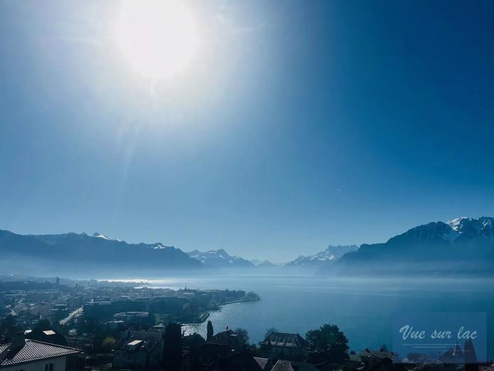 Appartement à vendre à Corseaux - APPARTEMENT DE LUXE AVEC VUE IMPRENABLE SUR LE LAC - Smart Propylaia (15)