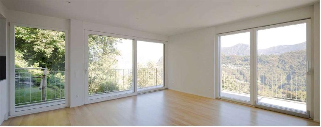 Maison à vendre à Montagnola (5)