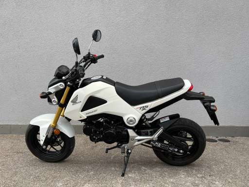 Honda MSX 125 Grom in vendita - HONDA MSX 125 Grom - Smart Propylaia (6)