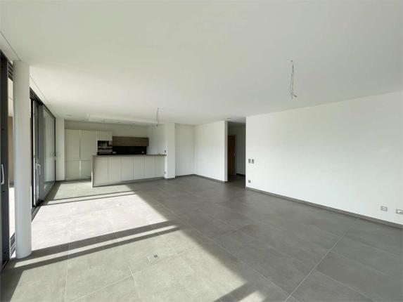 Appartement à vendre à Comano (3)