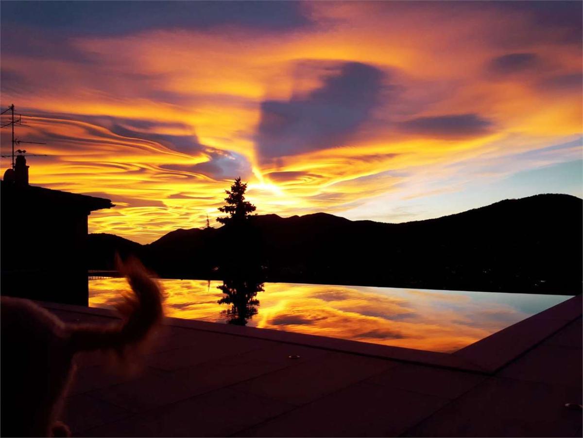 To rent   Switzerland - in partnership with the real estate portal Smart-Propylaia