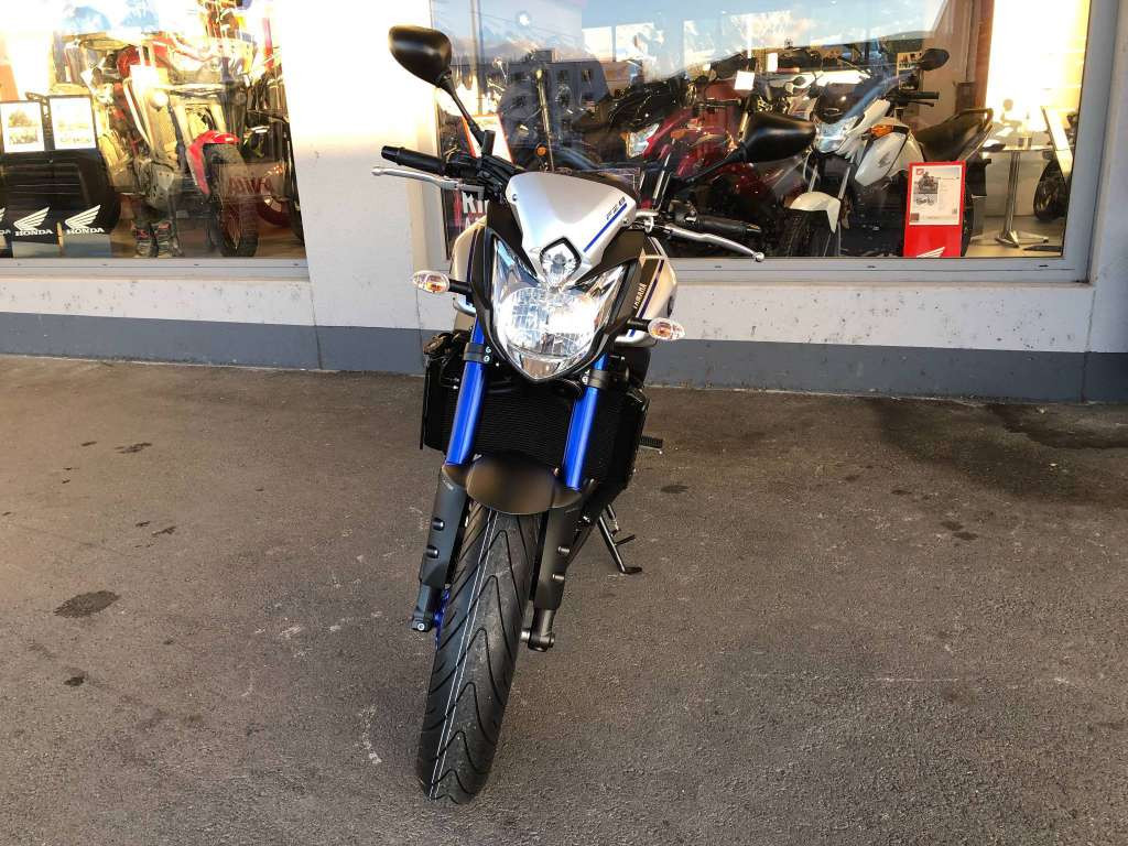 Yamaha Fazer FZ8 zu verkaufen - Smart Propylaia (7)