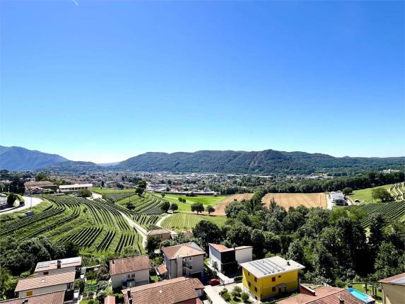 Appartamento in affitto a Coldrerio