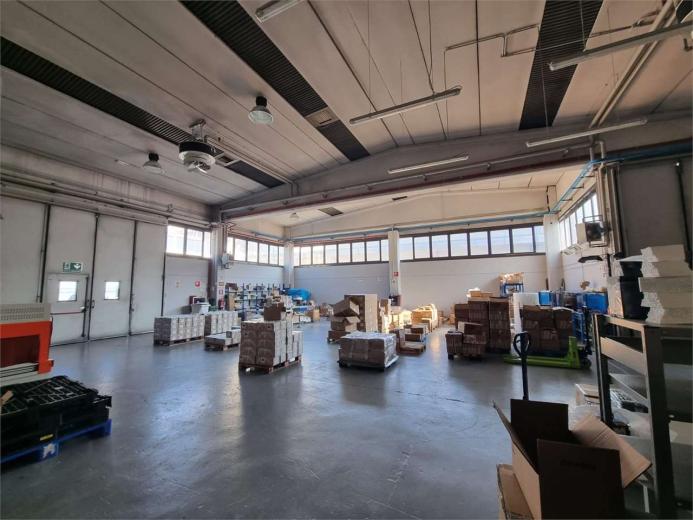 Commercio/industria in vendita a Cinisello Balsamo - Smart Propylaia (7)