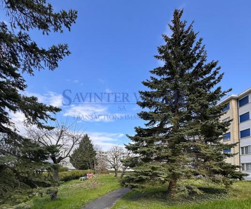 Appartement à vendre à Cointrin (4)