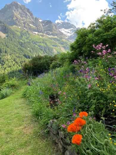 Haus zu verkaufen in Champéry - Smart Propylaia (5)