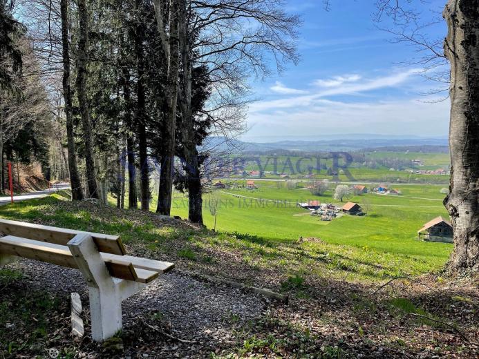 Zu verkaufen Wohnung Châtel-St-Denis Schweiz - Schweiz - cChic-immoHub Ihr Immobilienportal