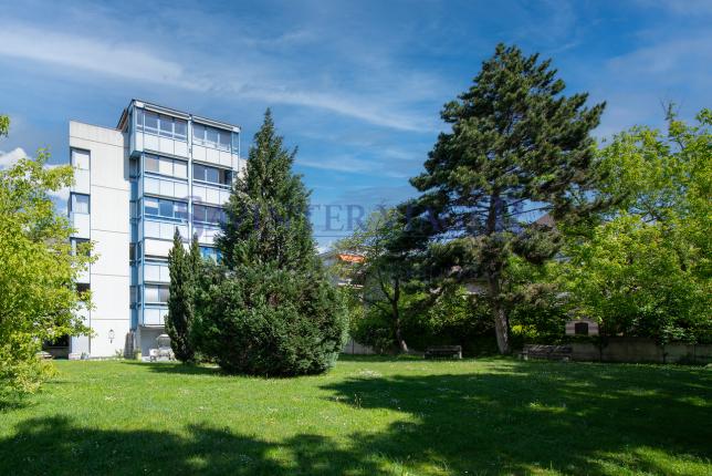 Appartamento in vendita a Sion