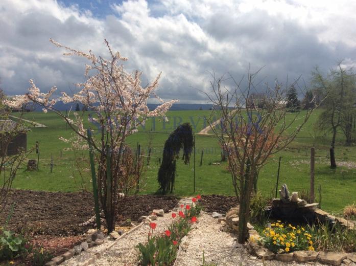 Maison à vendre à Moutier - Smart Propylaia (11)