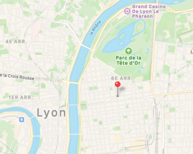 Appartamento in vendita a Lyon - Appartamento in vendita a Lyon, 5 locali, 158 m2 - Smart Propylaia (6)