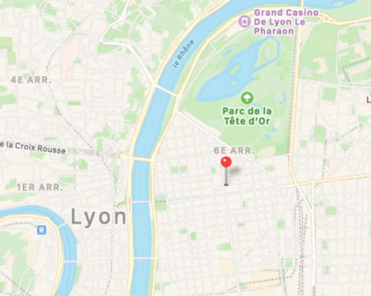 Wohnung zu verkaufen in Lyon (6)