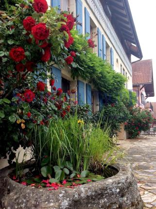 Wohnung zu verkaufen in Fontaines-sur-Grandson (2)