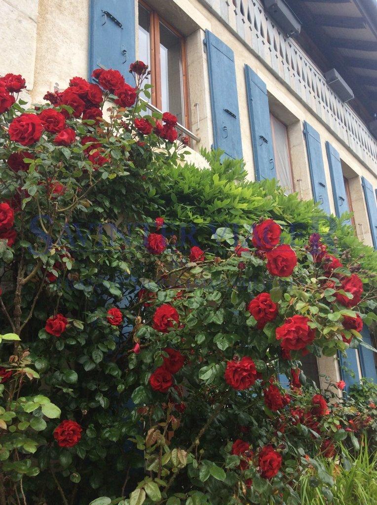 Zu verkaufen   Schweiz - cChic-immoHub Ihr Immobilienportal