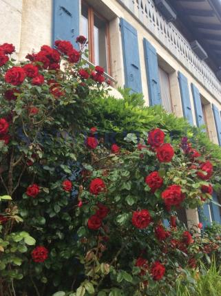 Wohnung zu verkaufen in Fontaines-sur-Grandson (6)