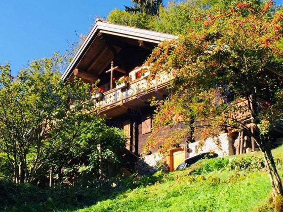 Haus zu verkaufen in Val-d'Illiez (3)
