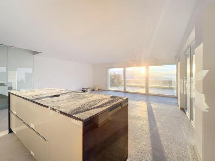 Casa in vendita a Blonay - Smart Propylaia (8)
