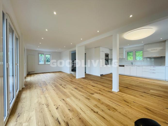 Haus zu verkaufen in Aarau - Ihr neues Zuhause: Modern, charmant, einzigartig - Smart Propylaia (3)