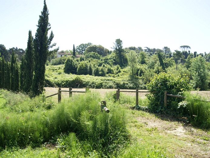 Agriculture for sale in Crespina - Smart Propylaia (4)