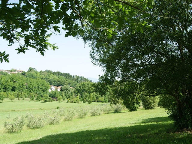Agriculture à vendre à Crespina - Ferme à vendre à Crespina, 10 pièces, 1000 m2 - Smart Propylaia (6)