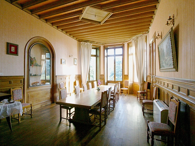 Haus zu verkaufen in Saint-Julien-Molin-Molette - Schloss zu verkaufen in Saint-Julien-Molin-Molette, 19 Zimmer, 597 m2 - Smart Propylaia (6)