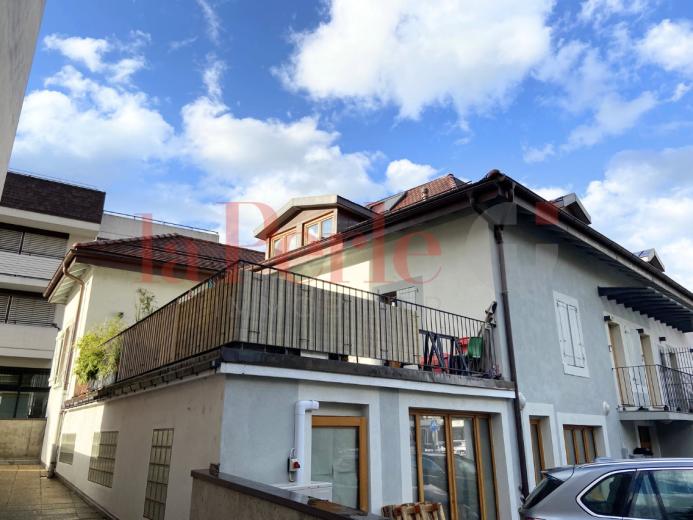 A vendre Chêne-Bourg Commerce Suisse - partenariat avec Smart-Propylaia Portail Immobilier