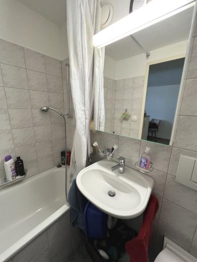 Appartement à louer à Weinfelden - Smart Propylaia (10)