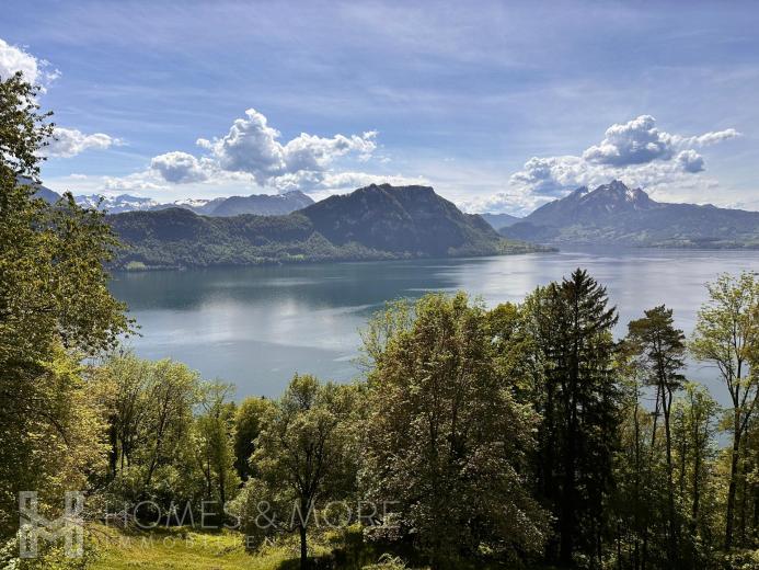 A vendre Maison individuelle Weggis Suisse - partenariat avec Smart-Propylaia Portail Immobilier