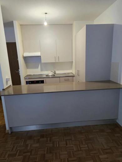 Appartement à louer à Carouge GE - Smart Propylaia (2)