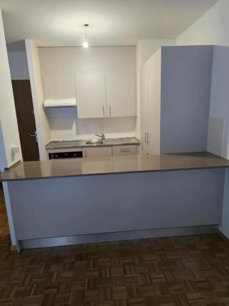 Wohnung zu vermieten in Carouge GE (2)