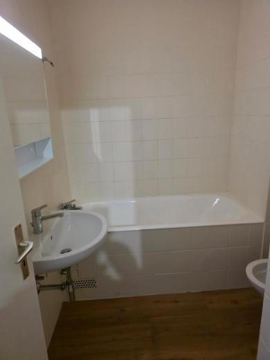 Appartement à louer à Carouge GE - 2 pièces Carouge - Smart Propylaia (3)