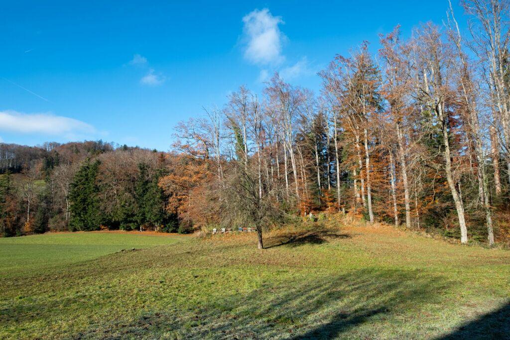 A vendre   Suisse - partenariat avec Smart-Propylaia Portail Immobilier